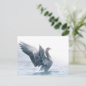 Greylagグースの自然写真 シーズンポストカード (スタンド正面)