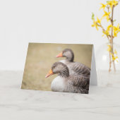 Greylag geese自然写真 カード (黄色い花)