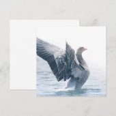 Greylag Goose自然フォトカード (正面/裏面)