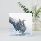 Greylag Goose自然フォトカード (スタンド正面)