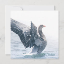 Greylag Goose自然フォトカード