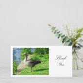 Greylag Goose – ありがとうございます サンキューカード (スタンド正面)