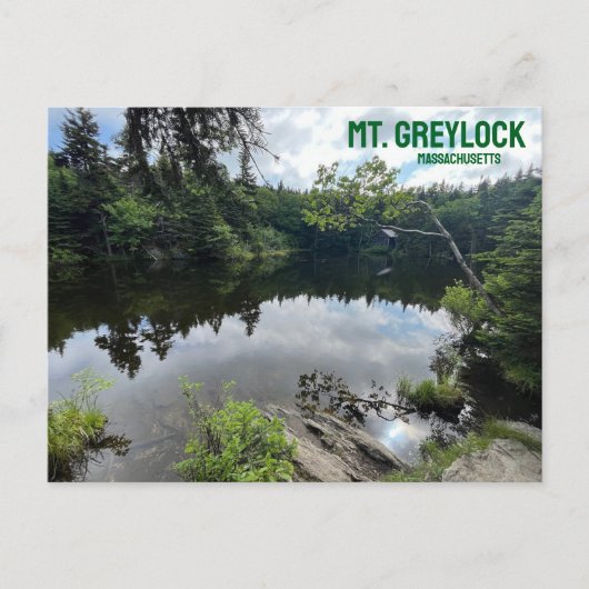 Greylock Massachusettsポストカード ポストカード (正面)
