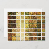 Grid of Seeds - 1912年ヴィンテージカラー写真はがき ポストカード (正面/裏面)