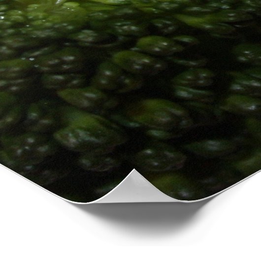 Grilled Filet Mignon ポスター (角)