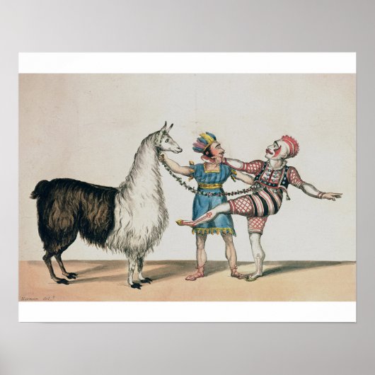 Grimaldi and the Alpaca, in the Popular Pantomime ポスター (正面)