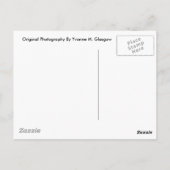 Grindstone andいかりインハーバービーチ、MIポストカード ポストカード (裏面)