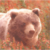 Grizzly Bear Cub in Fireweed'絵画's Wildlife Art シール (正面)
