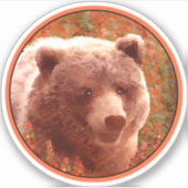 Grizzly Bear Cub in Fireweed'絵画's Wildlife Art シール (正面)