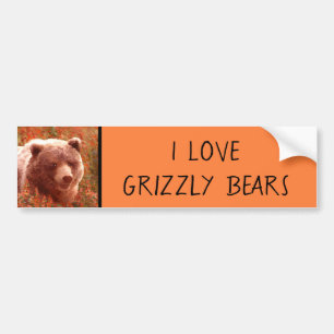 Grizzly Bear Cub in Fireweed'絵画's Wildlife Art バンパーステッカー