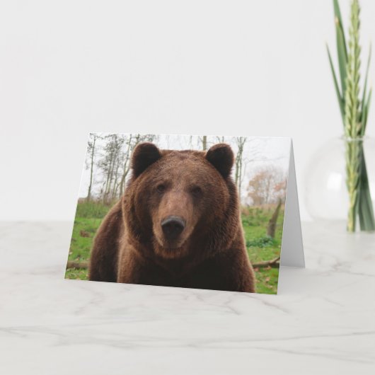 GRIZZLY BEAR HAPPY BIRTHDAY BEAR HUG CARDS シーズンカード (正面)
