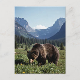Grizzly Bear in Glacier National Park Travel ポストカード