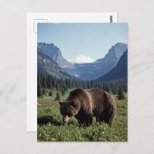 Grizzly Bear in Glacier National Park Travel ポストカード (正面/裏面)