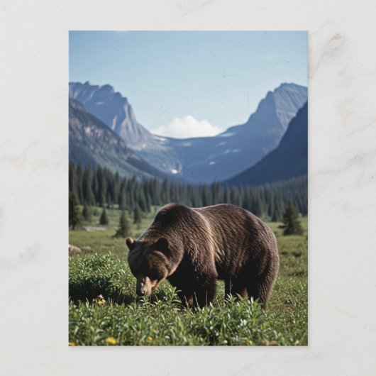 Grizzly Bear in Glacier National Park Travel ポストカード (正面)