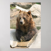 grizzly bear large poster 2 ポスター (正面)