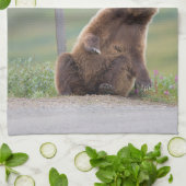 Grizzly Bear Plays With Sign キッチンタオル (折り畳み)