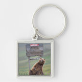 Grizzly Bear Plays With Sign キーホルダー (正面)