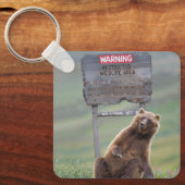 Grizzly Bear Plays With Sign キーホルダー (正面)