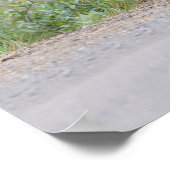 Grizzly Bear Plays With Sign ポスター (角)