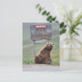 Grizzly Bear Plays With Sign ポストカード (スタンド正面)