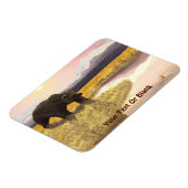 Grizzly Pond マグネット (左側)