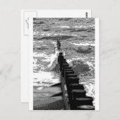 Groinと波 ポストカード (正面/裏面)
