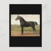 Groningen by Otto Eerman ポストカード (正面)