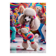 Groovie Hippie 60s Poodle踊りin the Disco