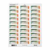 Groovyカラフルレトロアーチはっきりした抽象芸術アドレス ラベル (フルシート)