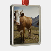 grossglocknerのhochalpenstrasse、tauern hohe メタルオーナメント (右)