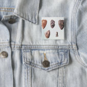 Grotte deからの有史以前の石器、 缶バッジ (インサイチュ)