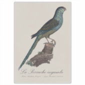 Ground Parrot or Swamp Parrot, Pezoporus Wallicus シール (正面)