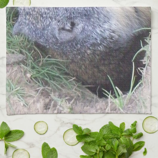 Groundhogの台所タオル キッチンタオル (折り畳み)