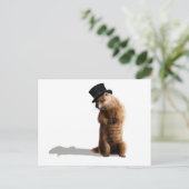 Groundhogの影を見る ポストカード (スタンド正面)