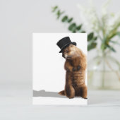 Groundhogの影を見る ポストカード (スタンド正面)