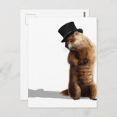 Groundhogの影を見る ポストカード (正面/裏面)