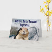 Groundhogの春の予測 カード (黄色い花)