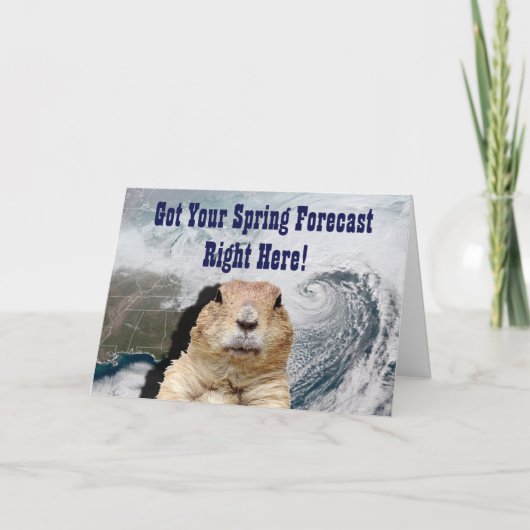 Groundhogの春の予測 カード (正面)