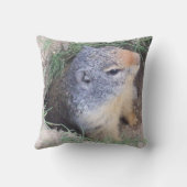 Groundhogの枕 クッション (裏面)