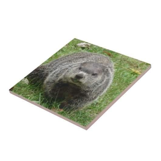 Groundhogの食べ物 タイル (側面)