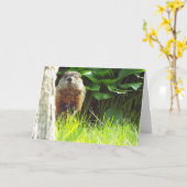 Groundhogカード カード (黄色い花)