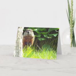 Groundhogカード カード
