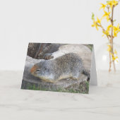 Groundhogカード カード (黄色い花)