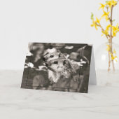 Groundhogベビー カード (黄色い花)