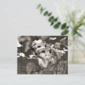 Groundhogベビー ポストカード (スタンド正面)