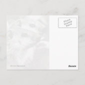 Groundhogベビー ポストカード (裏面)