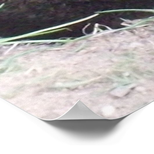 Groundhogポスター ポスター (角)