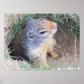 Groundhogポスター ポスター (正面)