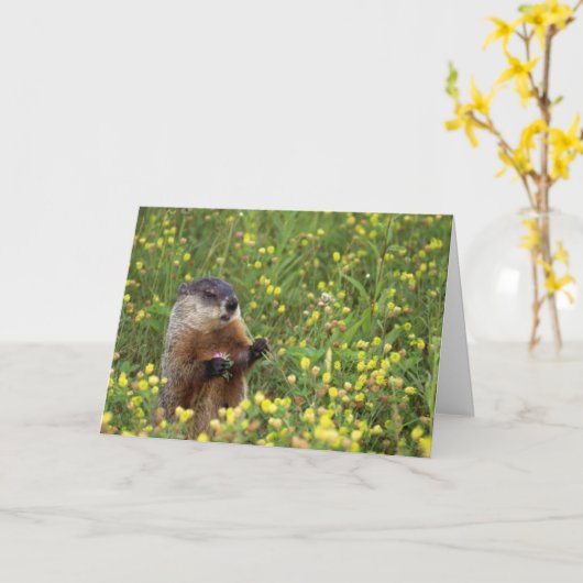 Groundhogポーズカード カード (黄色い花)