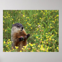 Groundhogポーズ ポスター